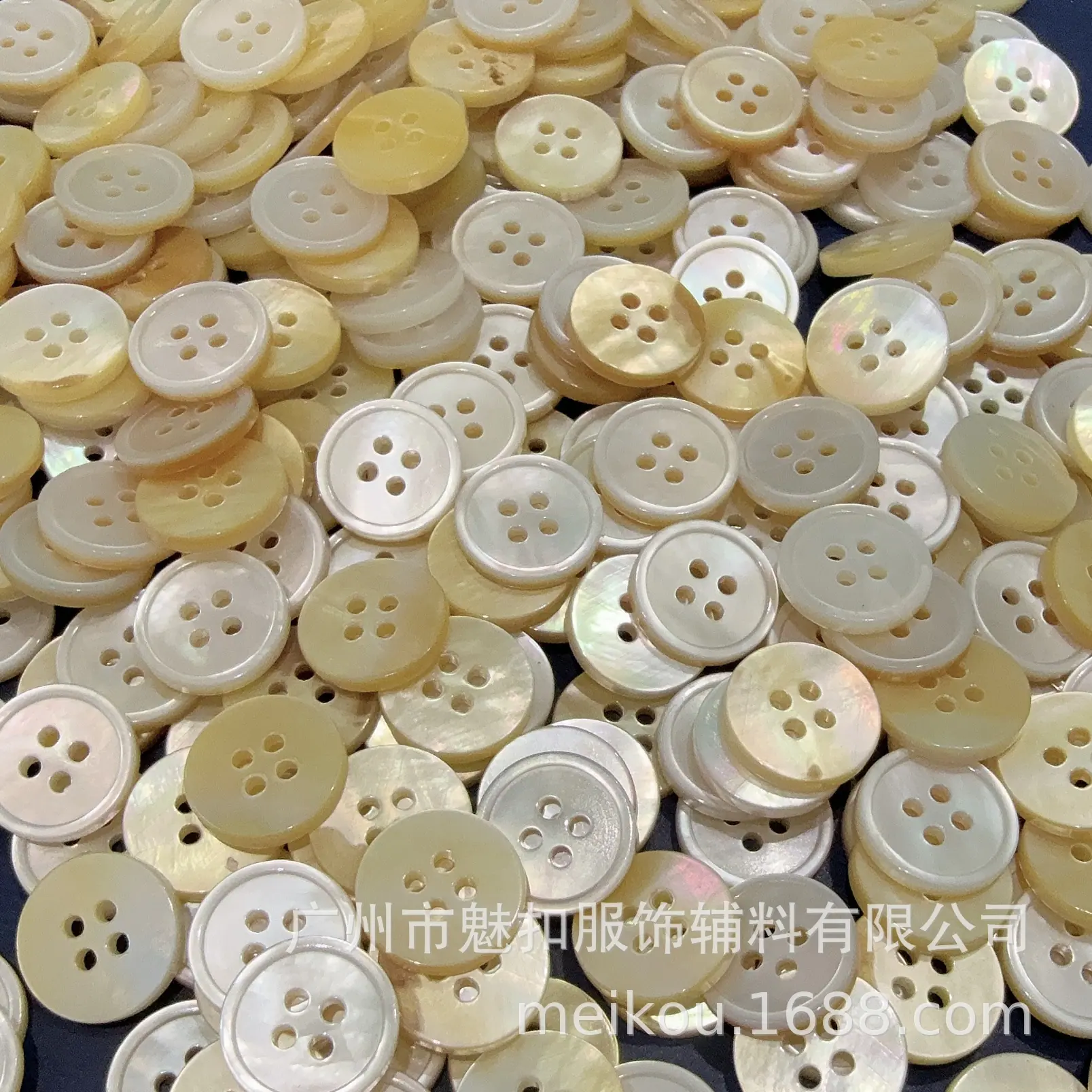 微信图片_20250215164331
