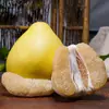 Selección Premium Pomelo Miel de Pulpa Blanca de Zhangzhou, Fujian, piezas de 2/ 2.5 kg, fruta fresca de temporada dulce y jugosa