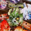 Serie de Hojas Retrostory Cuidadosamente Seleccionadas Materiales Creativos de Decoración de Plantas Tarjeta Dura Retro DIY 8 Pegatinas para Manualidades