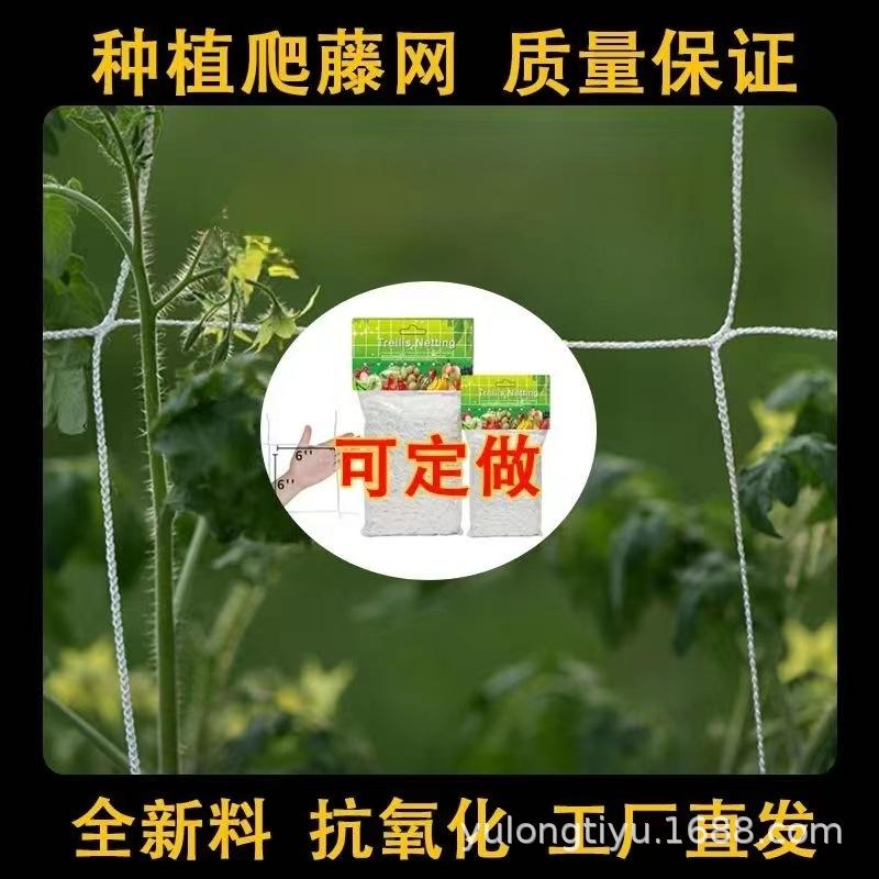 微信图片_20230709100103.jpg