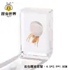 Artesanía Jingling Muestras Biológicas Acuáticas Conchas de Caracol Peces Camarones Cangrejos Regalos de Educación Científica Adornos de Resina Caja Sorpresa