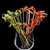 Fabricante Qunlan Suministra Varios Tamaños de Brochetas de Bambú para Barbacoa, Brochetas Decorativas para Cócteles, Tenedores de Fruta