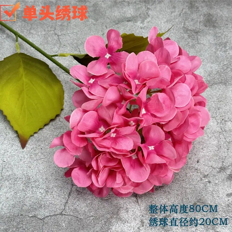 微信图片_20230414124114.jpg