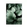 Pintura de planta verde nórdica Poster de Monstera Arte em tela Poster de cacto Decoração de casa para sala de estar Núcleo da pintura