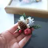Kit de Material DIY Broche Pinça de Planta de Natal Frutas Secas Pinha Flor Seca para Atividades de Salão e Artesanato de Jardim de Infância