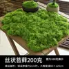 Simulação musgo gramado biônico artificial falso musgo micro paisagem layout ornamentos gramado bonsai vaso pavimentação paisagismo