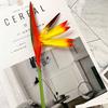 Flor de simulación transfronteriza material pu ave del paraíso Orquídea grulla decoración hogar oficina software de disparo planta en maceta