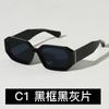 2025 Nueva Moda Anti-luz azul Caja Pequeña Transfronteriza Gafas de Sol de Moda 5674 Gafas de Sol Personalizadas para Fotos Callejeras