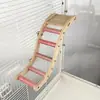 Gaiola de Papagaio Escada de Escalada Arco-Íris com Brinquedos para Periquito Calopsita, Escada Nuvem Fosca, Escada de Madeira, Balanço para Periquito, Bastão Afiador de Garras