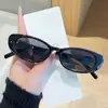 Óculos de Sol de Armação Oval Pequena Nova Tendência da Moda Estilo Hong Kong Retrô Proteção Solar de Verão Fotografia de Rua Óculos de Sol Emagrecedores