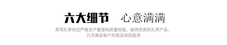 尼龙扎带_28