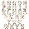 Enfeites Decorativos de Madeira de Natal Transfronteiriços com 26 Letras e Design de Padrão Floral para Artesanato e Decoração Caseira