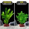 Plantas de Acuario, Decoraciones de Paisajismo con Césped Real, Plantas Aptas para Principiantes, Crisantemo Verde Ciempiés, Plantas de Sombra, Piedra Volcánica, Plantas Verdes Purificadoras de Agua