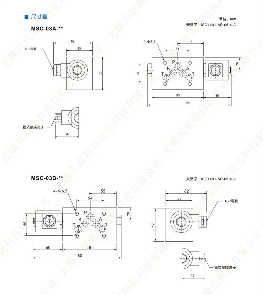 MSC-_4.jpg