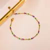 Tobillera de Acero de Titanio con Forma de Calabaza y Corazón de Lujo Ligero a la Moda para Mujer, Estilo Vacaciones en la Playa de Verano, Sensación de Alta Gama, Cadena de Tobillo que No se Desvanece
