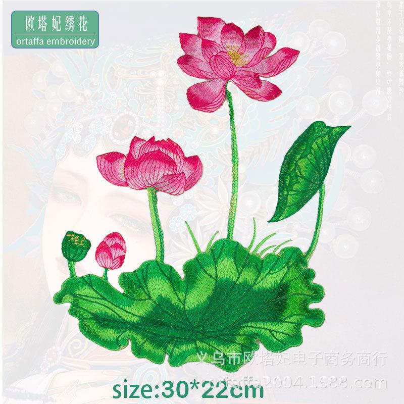 荷花3.jpg