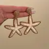 Brincos de Ráfia Gota d'Água Agulha de Aço para Férias na Praia, Brincos de Franja Modernos e Versáteis, Acessórios de Orelha Simples Retrô