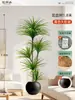 Plantas Verdes Artificiais de Alta Qualidade para Decoração de Sala de Estar, Planta Realista Falsa de Figueira-da-Índia Preta para Decoração de Sala de Transmissão ao Vivo
