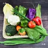 Modelo de Verdura de Simulación Plástico Fruta Falsa Verduras Verdes Pan Adornos para Refrigerador y Gabinete Accesorios Decorativos de Educación Temprana para Niños