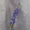 Delphinium francés artificial para el hogar, boda, flor de boda, violeta, pasillo de bodas, camino de plomo, decoración, flor falsa al por mayor