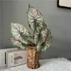 Plantas Verdes Artificiales con Textura Realista para Exportación, Juego de 5 Piezas de Hojas de Taro de Colores y Hojas de Cala para Paisaje de Selva Tropical y Vegetación de Jardín al por Mayor