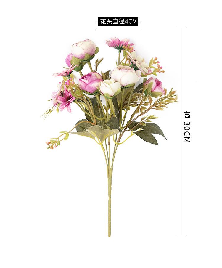 苞苞橘最终-(1)_04