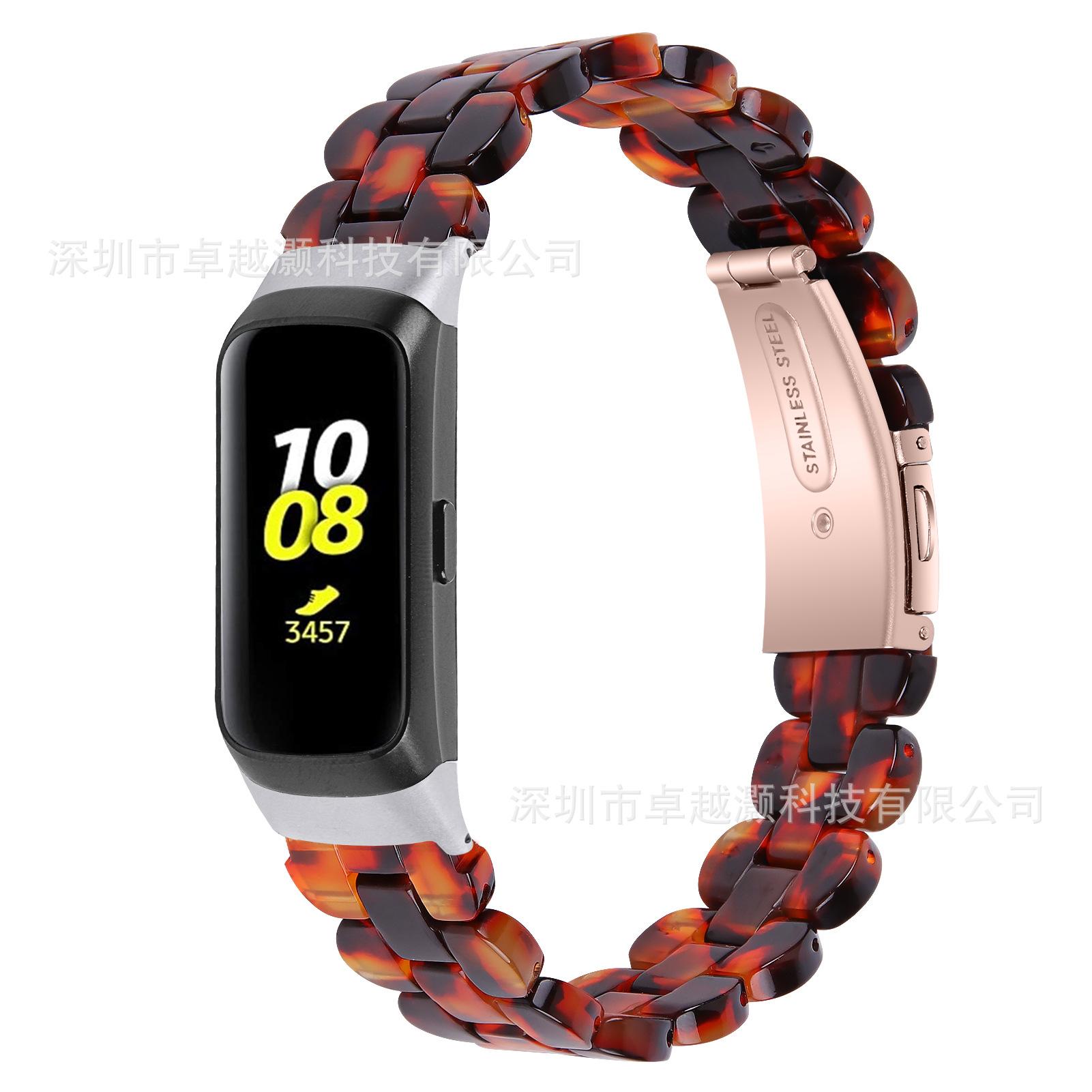 玳瑁 (1).jpg