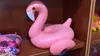 Porta-copos Inflável de Brinquedo PVC Porta-copos Aquático Flamingo Porta-copos Bandeja Flutuante para Bebidas Porta-copos Interno Inflável
