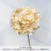 Casamento Cor Champanhe Material de Flor Sintética Pendurado no Teto Decoração de Hotel Caminho de Casamento Guia de Fundo Arranjo de Flores Fabricante Atacado