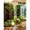 Escenario de Exhibición de Ventana Pieris Japonica Simulada Planta Interior de Gama Alta Arce Japonés Biomorfo Planta Verde Decoración Árbol Artificial Grande Paisaje