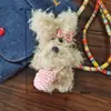 Fofo Brinquedo de Pelúcia de Cachorro Cacheado com Pingente no Mesmo Estilo dos Animais de Estimação de Celebridades, Adequado para Bolsas e Chaves de Estudantes e Meninas