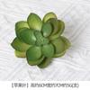 Uau Bonsai de Suculenta Artificial Personalizado Plantio Flocagem Acessórios de Suculenta Falsa Artificial Plantas Verdes DIY Decoração de Casa