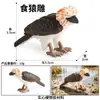 Modelo Sólido de Animales de Simulación Transfronterizo Lémur Capibara Mangosta Comadreja Gecko Alpaca Buey Almizclero Shougong Buey Serpiente Conejo