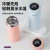 Copo Térmico 2025 para Mulheres Aço Inoxidável 316 Portátil Mini Copo de Bolso Garrafa de Água Compacta Capacidade de Upgrade Personalizável