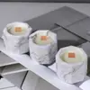 Vela Aromática de Yeso Tinta Sentido Avanzado Anís Taza de Yeso Vela Aromática de Osmanthus Fragancia para el Hogar Interior Venta al por Mayor