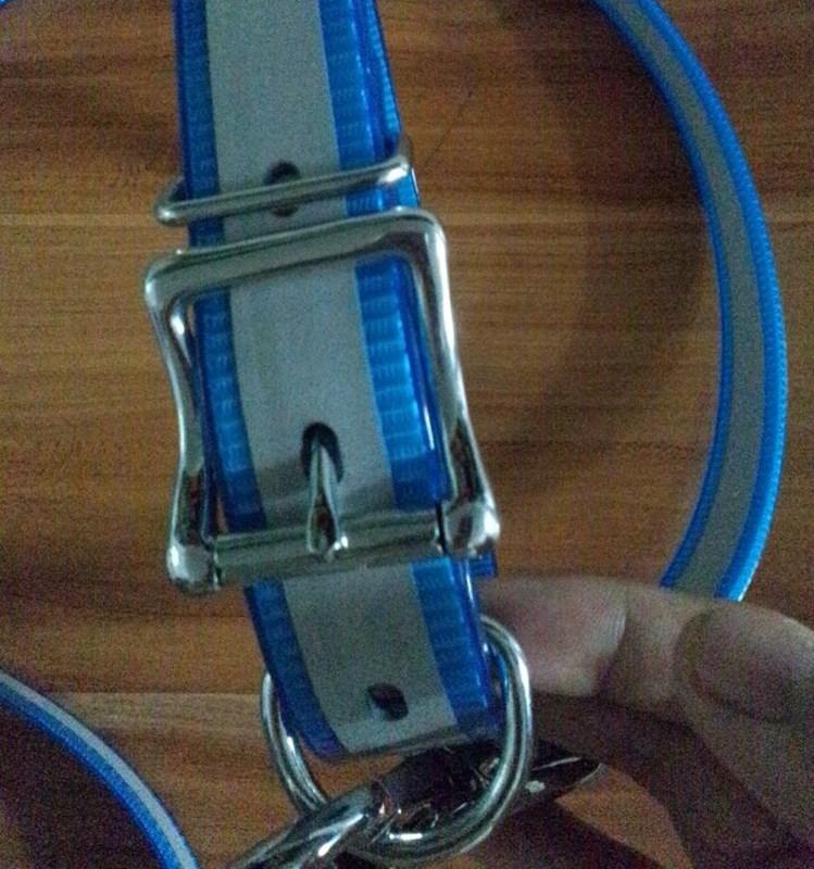 dog leash_副本.jpg