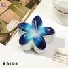 Qiyue novo clip de flor de frangipani com impressão UV transfronteiriço moda criativa grampo de cabelo de flor de bauhínia clip de tubarão de flor atacado