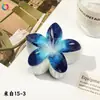 Nuevo Clip de Huevo con Flores Qiyue Moda Impresión UV Pasador de Orquídea Florale Clip de Tiburón Creativo Europeo y Americano