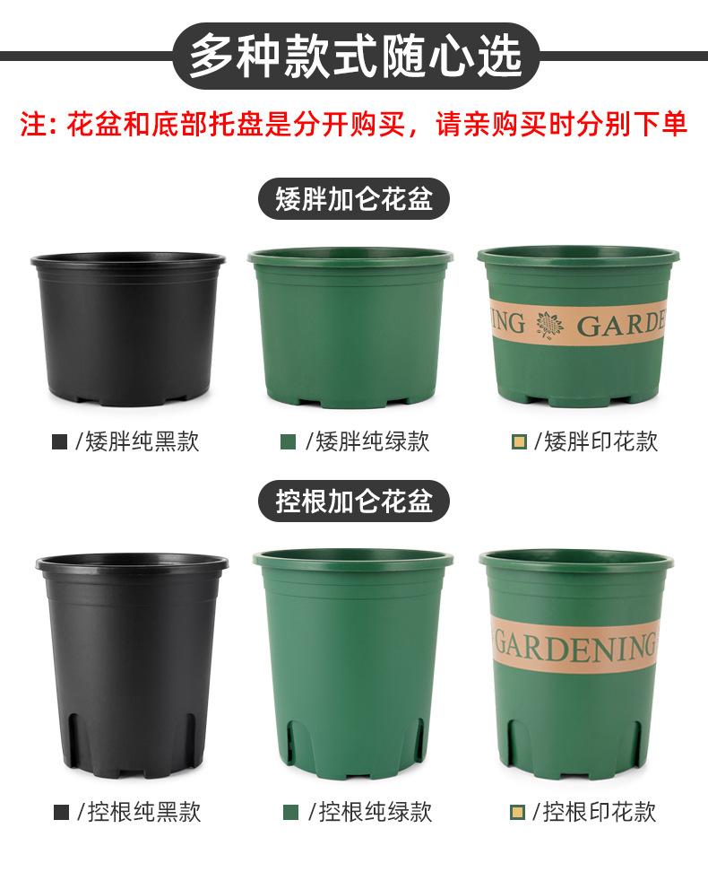 控根加仑盆详情新_05.jpg