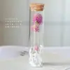 Tubo de Ensayo de Vid Ramo de Flores Secas Flor Eterna Botella de los Deseos Espécimen Boda Graduación Cumpleaños Regalo Flor Eterna