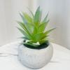 Decoración interior del hogar simulación suculenta pequeña planta en maceta diseño de escritorio planta adornos en maceta suculenta falsa planta verde mayoreo