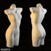 Dannai Roupas de Rede Sexy Sedução Sexy Lingerie Sexy Tentação Peça Única com Suspensório Meias Não Precisa Tirar Entrepernas Puro Desejo 8972