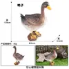 Simulação Realista Transfronteiriça de Aves e Animais: Vacas, Cavalos, Jumentos, Cabras, Ovelhas, Porcas, Búfalos, Veados Brinquedos Cognitivos e Miniaturas