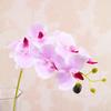 Venda por atacado 7 pequeno ramo Phalaenopsis flor artificial único pano de seda casamento borboleta orquídea atacado