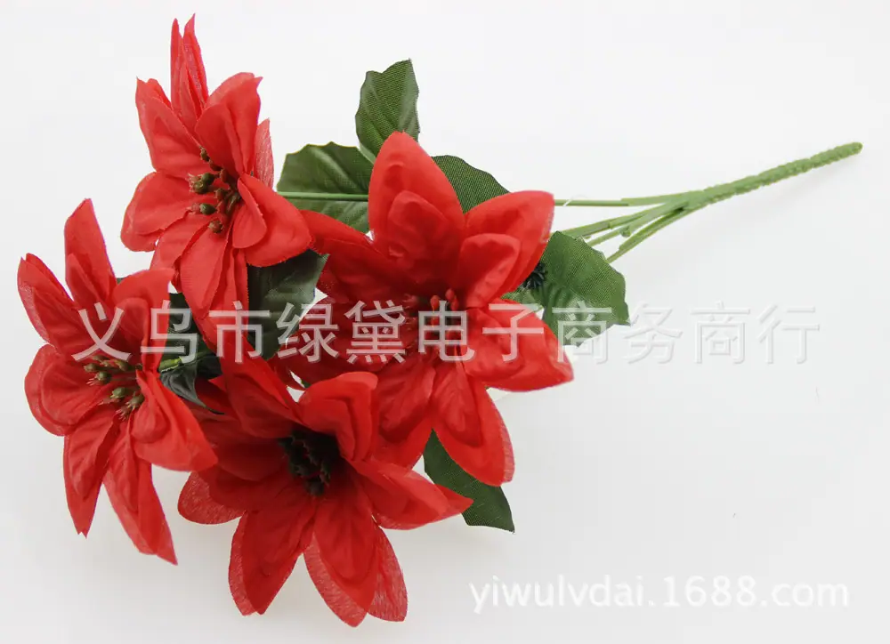 圣诞花