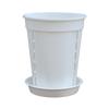 Novo Vaso de Flores de Orquídea Vaso de Montanha Verde Transparente Vaso de Flores de Plástico Vaso Alto Vaso de Plantio Simples Phalaenopsis Vaso de Controle de Raiz Respirável