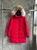 Jaqueta de Penas de Ganso Grande She Lburnepark3802 Jaqueta de Penas de Ganso Grande 15 Parka Inverno