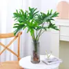 Plantas Hidropónicas Pluma de Primavera Filodendro en Maceta Interior Lluvia de Primavera Plantas Verdes Potos Perenne Cultivo en Agua Bueno Estilo de Escritorio Ins