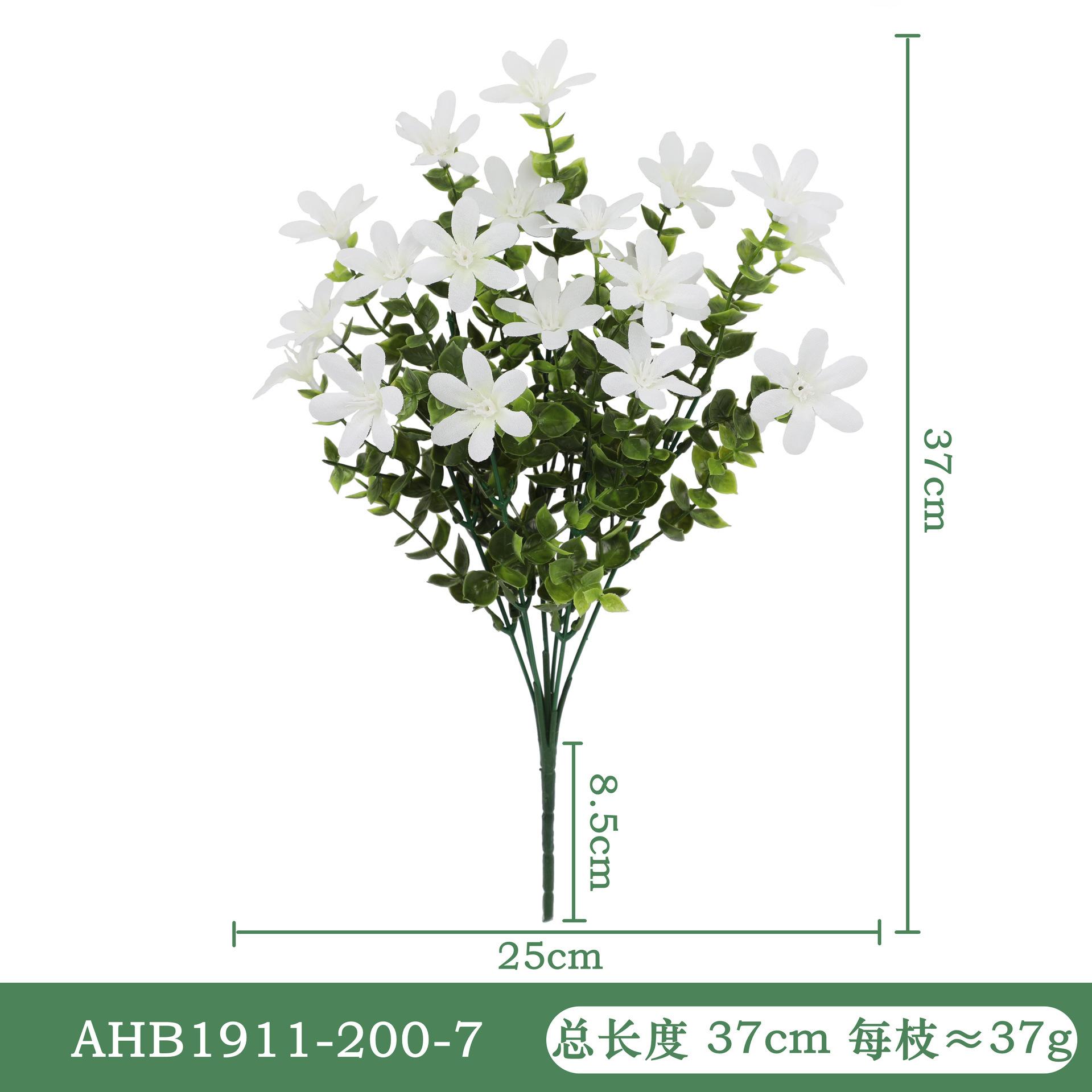 尤加利兰花-白色AHB1911.jpg
