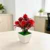 Mini 7 Hierba de Peonía Transfronteriza No. Maceta Cuadrada 1248 Bonsái Oficina Hogar Escritorio Flor de Simulación Planta Pequeña en Maceta Adorno
